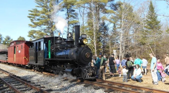 A Springtime EGGstravaganza!