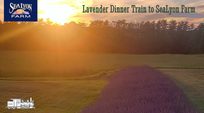Lavender Pickin' Dinnertime Train to SeaLyon Farm